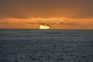 Read more about the article Luz diurna